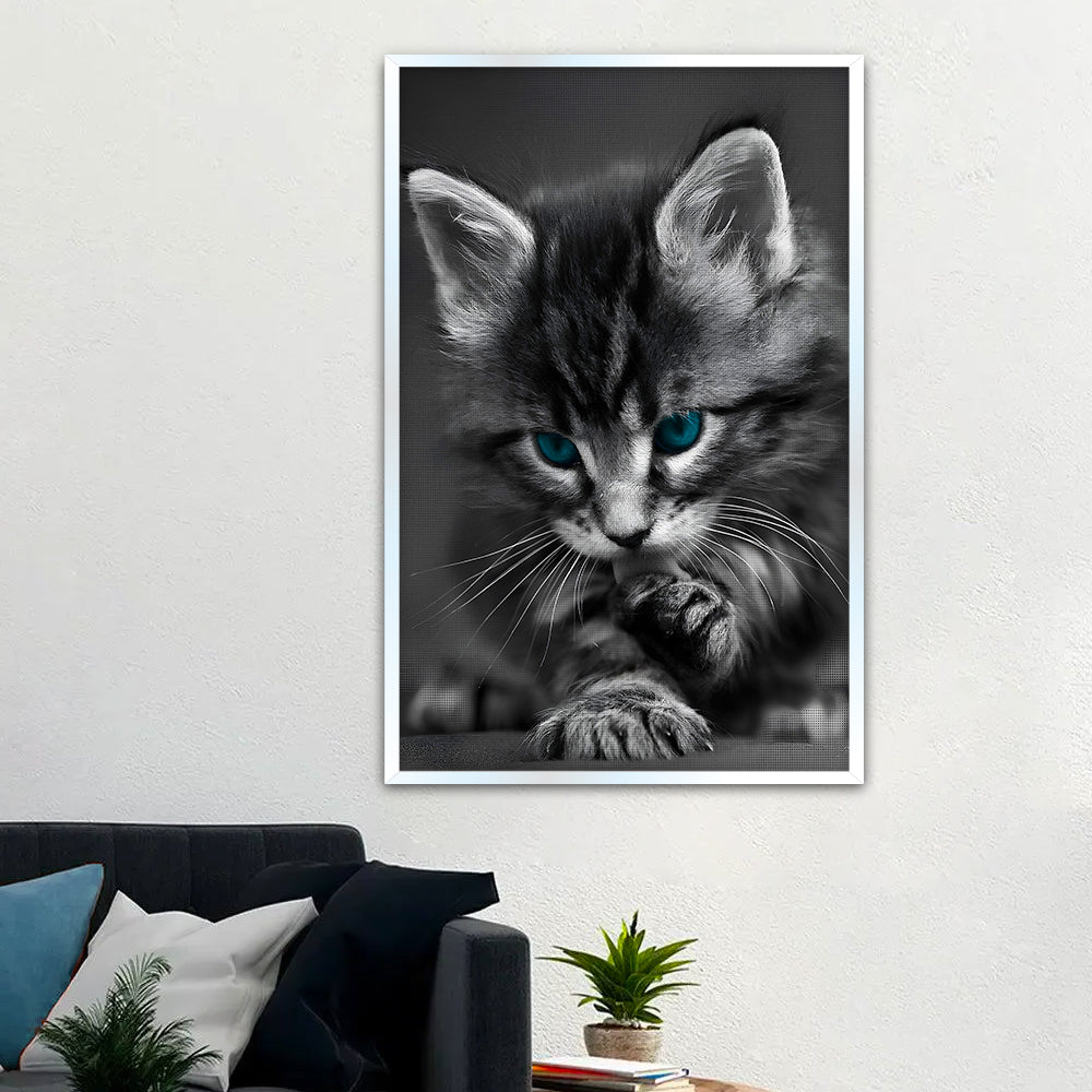 Beautiful Blue Eyed Baby Cat Home Office Decorative Canvas  Wall Paintings Main image