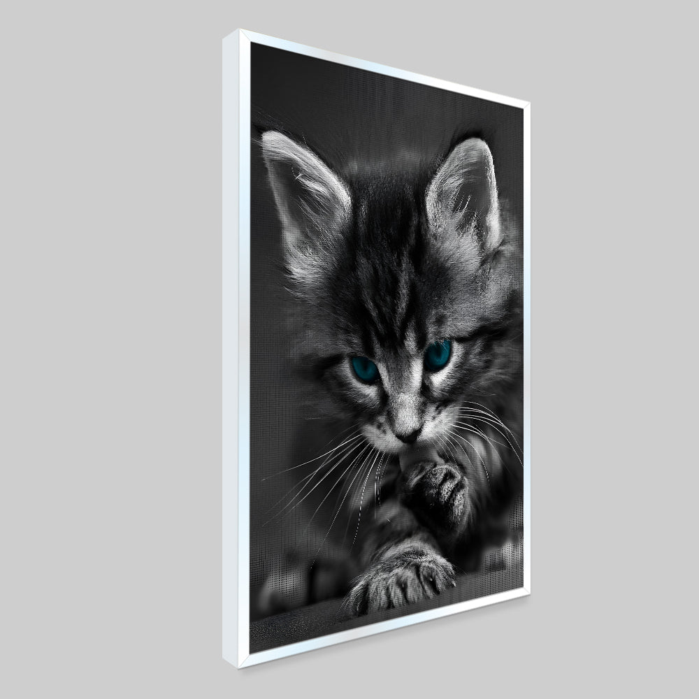Beautiful Blue Eyed Baby Cat Home Office Decorative Canvas  Wall Paintings Secondary image