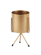 Votive Planter Set of 3