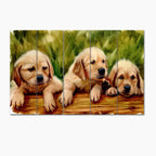 Three Labrador Retriever Puppy Sitting Canvas Wall Painting