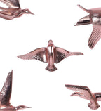 Aluminium Copper Bird Wall Decor Set of 5