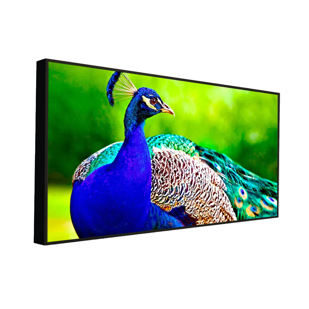 Beautiful Peacock Big Panoramic Canvas  Wall Painting Secondary image